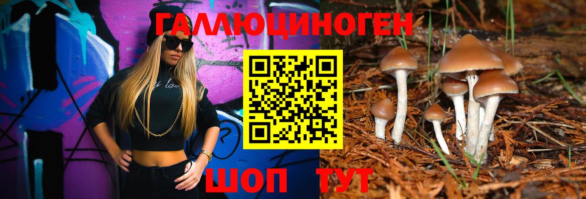 Псилоцибиновые грибы мухоморы Бузулук